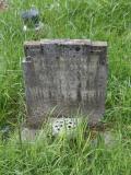 image of grave number 492503